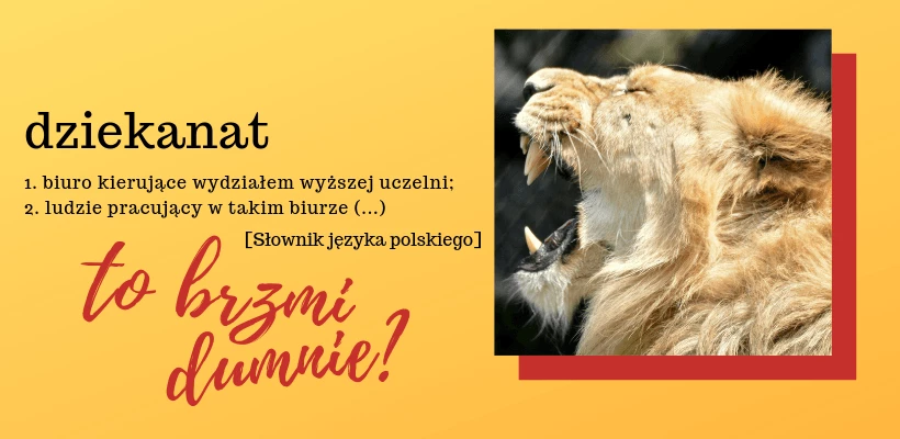 Dziekanat – to brzmi dumnie?