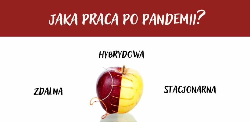 Raport: Co zostało po pandemii? Ocena pracy hybrydowej przez pracowników administracji szkół wyższych