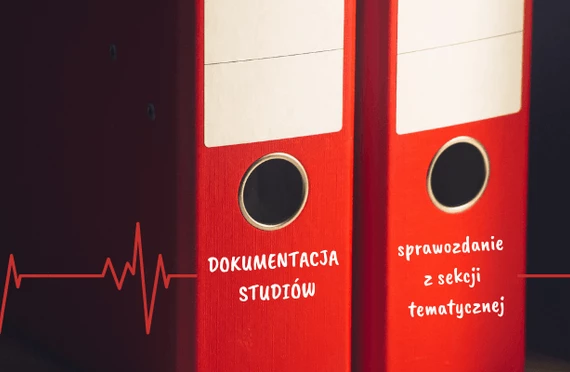 Dokumentacja studiów – sprawozdanie z sekcji tematycznej